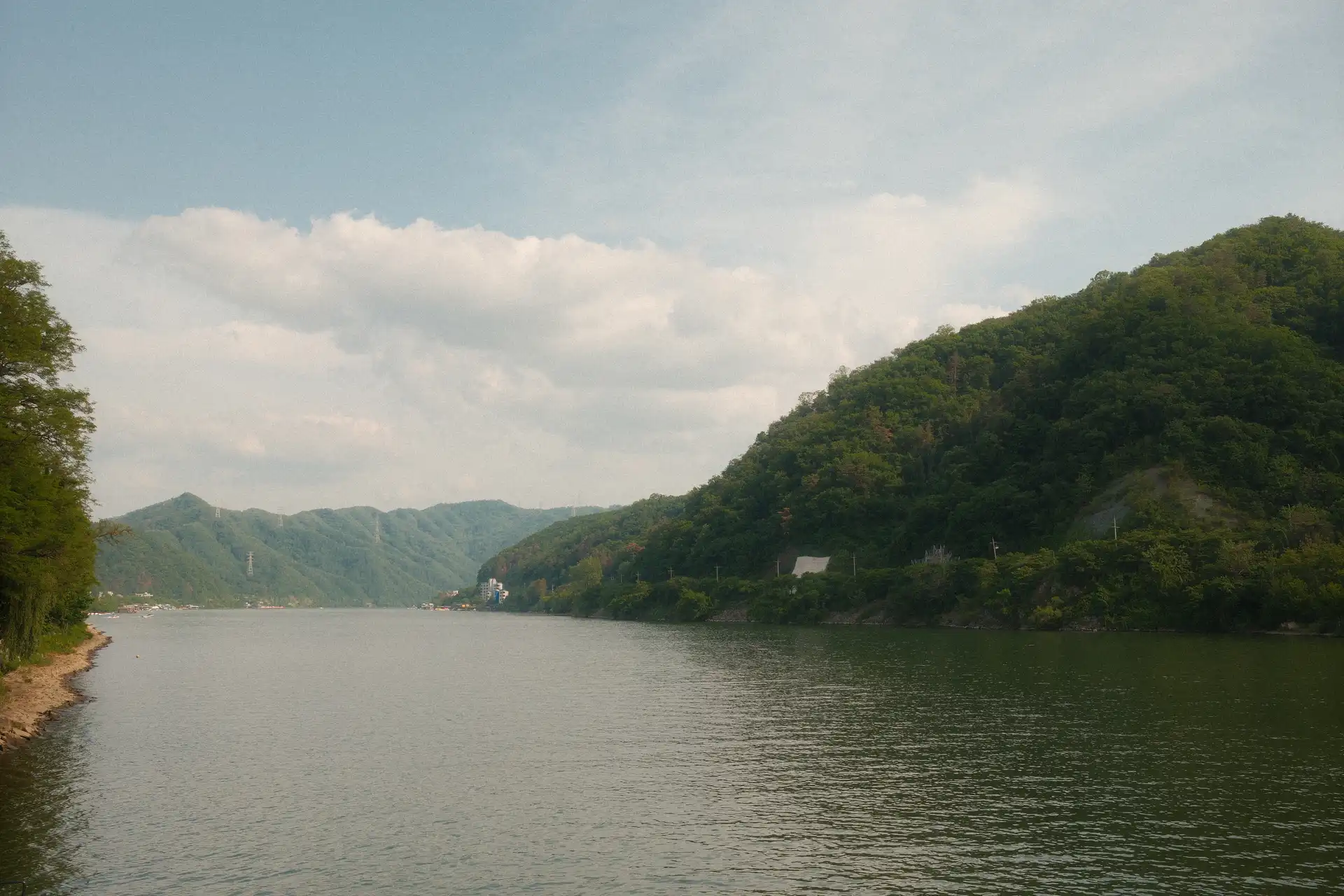 Greenery of Korea